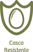 Casca-Resistente